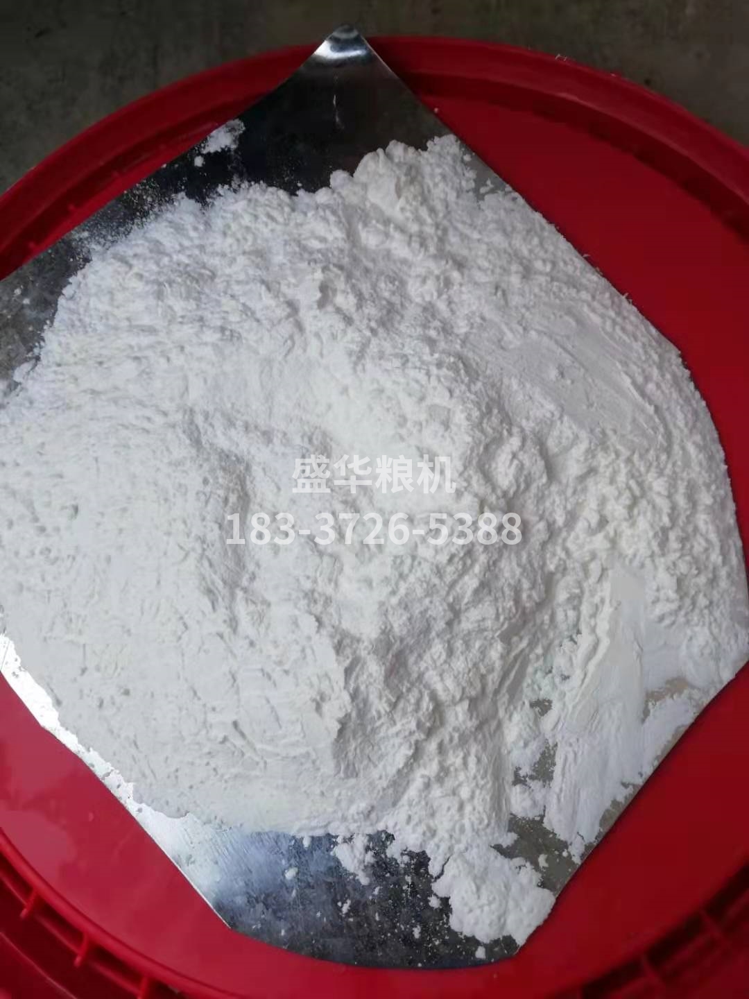 玉米面，玉米顆粒樣品
